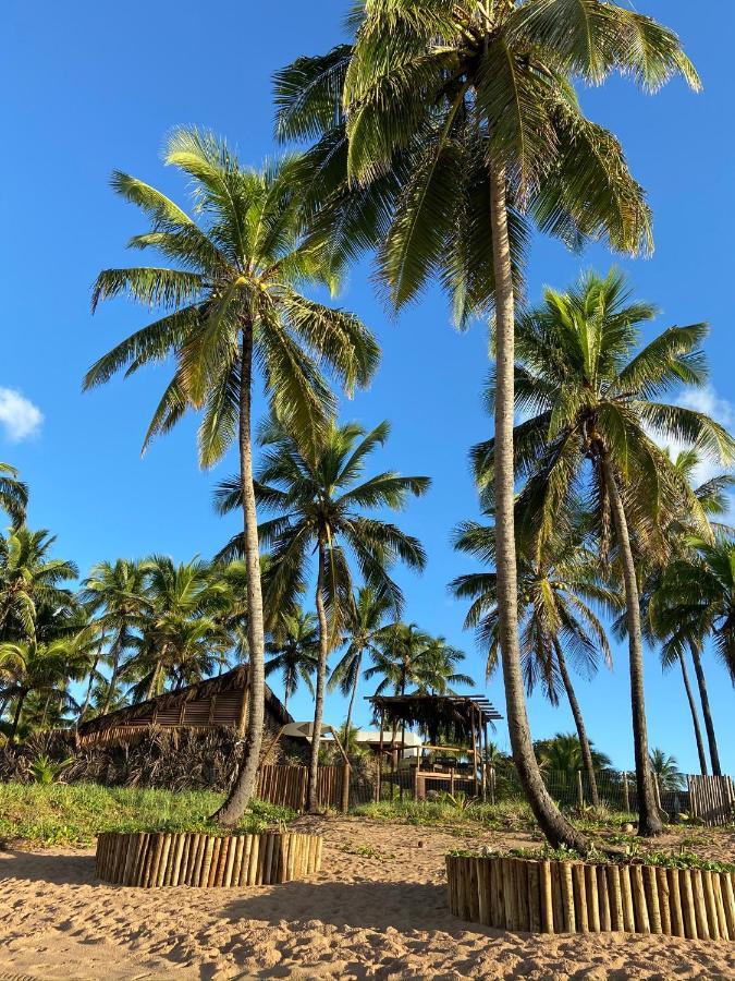 Bahia Surf Camp 호텔 Abrantes 외부 사진