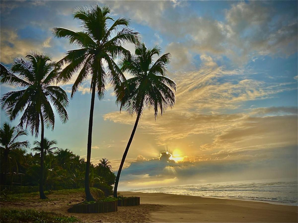 Bahia Surf Camp 호텔 Abrantes 외부 사진