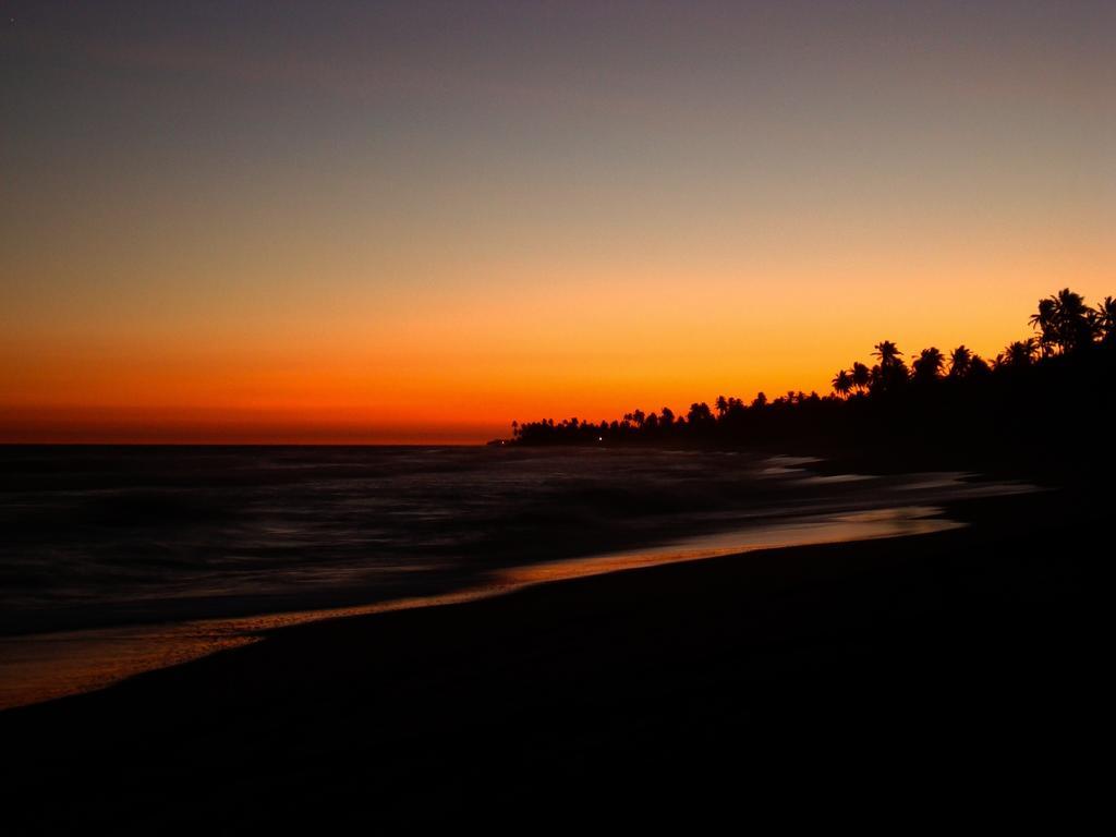 Bahia Surf Camp 호텔 Abrantes 외부 사진