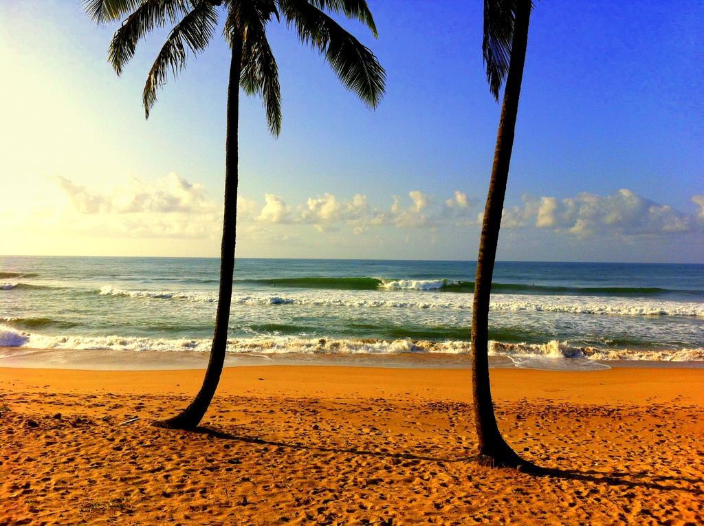 Bahia Surf Camp 호텔 Abrantes 외부 사진